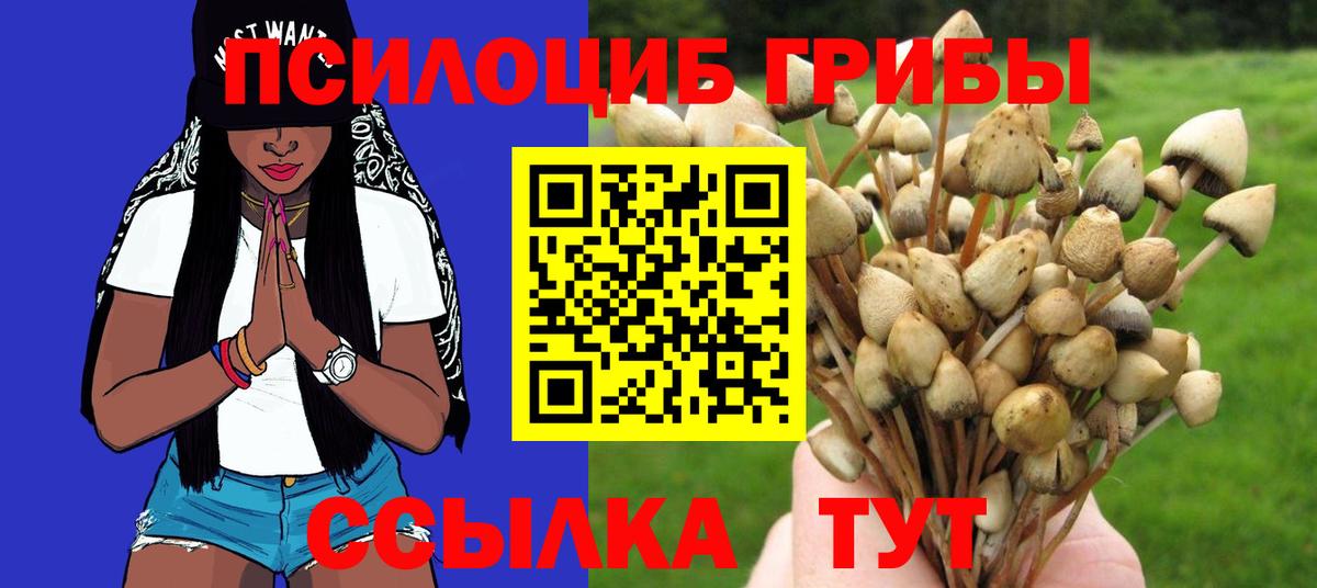 Псилоцибиновые грибы Psilocybe  Вход с VPN  Шарыпово 